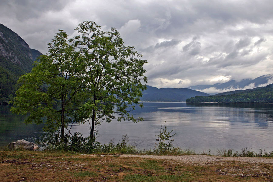 Po dežju
Bohinjsko jezero po dežju. Ukanc.
Ključne besede: bohinjsko jezero ukanc