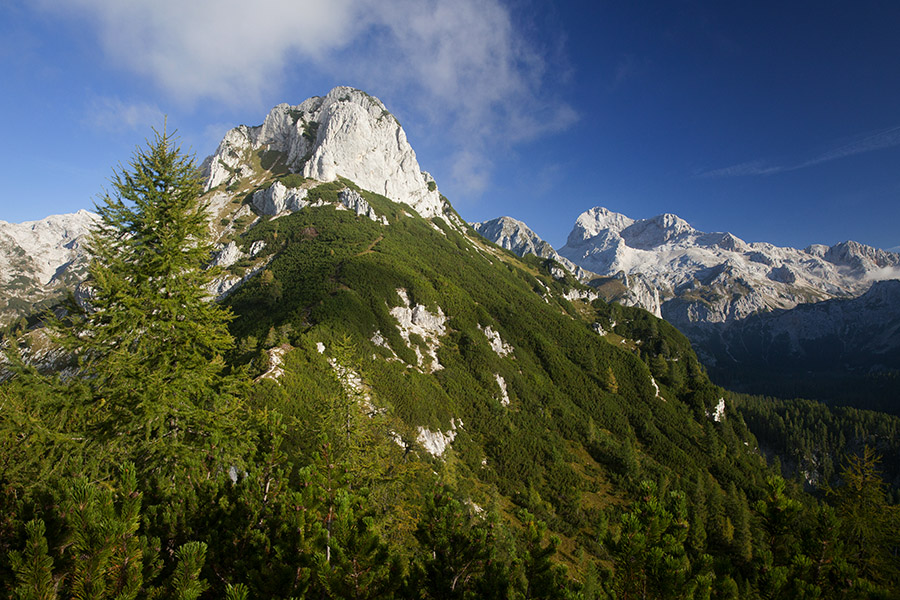 Jezerski Stog
Na sedlu med Krsteniškim in Jezerskim Stogom. Jezerski Stog in Triglav.
Ključne besede: jezerski stog