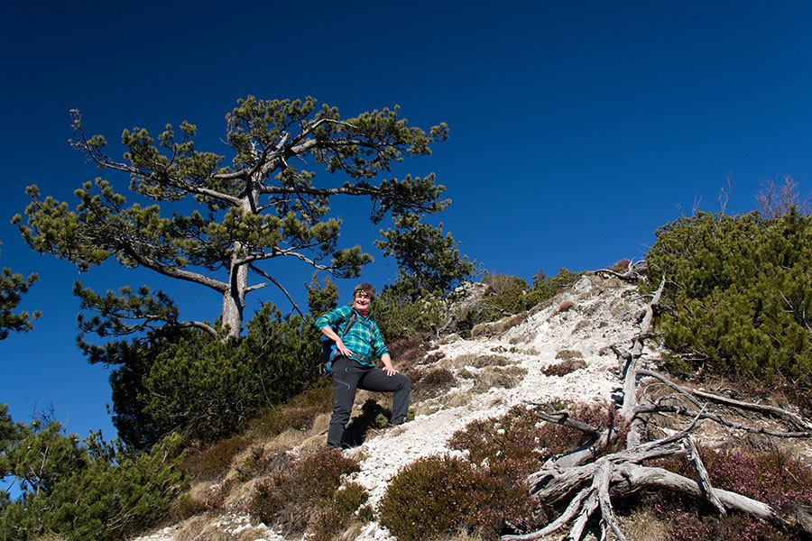 Na Podgorski vrh
Zadnji metri poti proti Podgorskemu vrhu (Monte Nebria). 
Ključne besede: podgorski vrh monte nebria