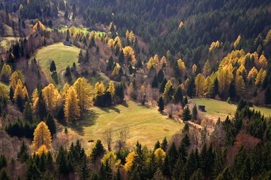 Razglednik
Vedno znova sem presenečen nad razgledniki v Bohinju. Tale je z roba Konjske doline.
Ključne besede: razglednik konjska dolina