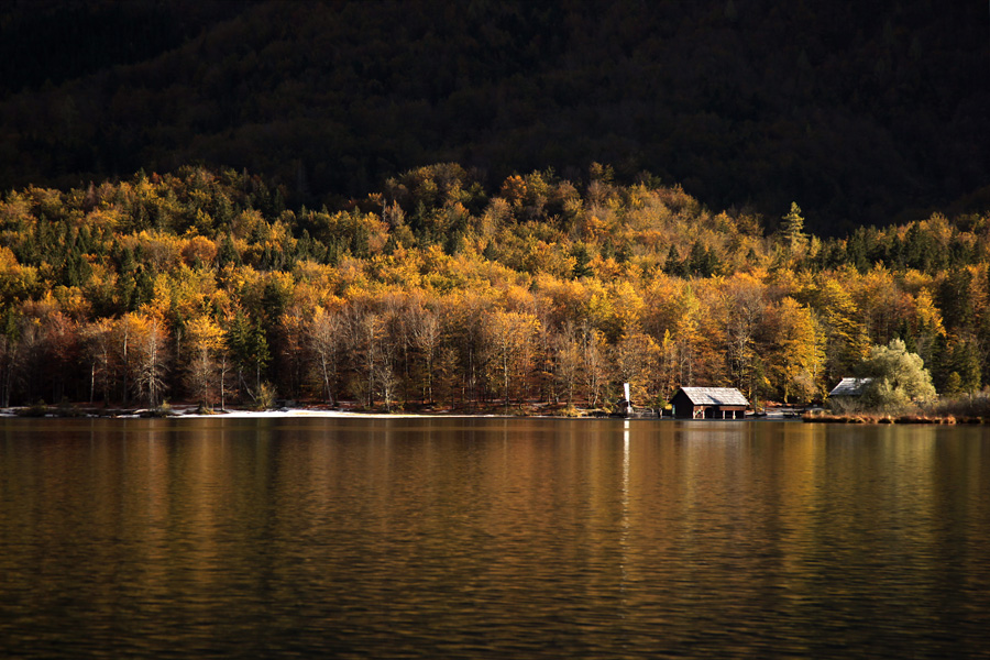Jesen v Bohinju IV.
Čolnarna v Ukancu.
Ključne besede: bohinjsko jezero ukanc