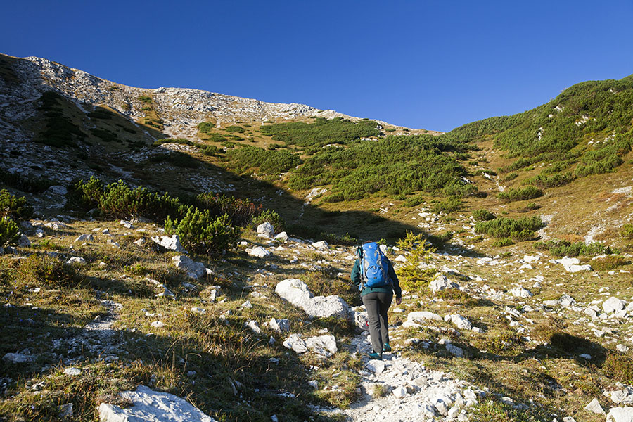 Na sedlo
S planine Suha proti sedlu Čez Suho.
Ključne besede: rodica suha čez suho