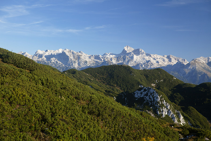 Čez Suho
Proti sedlu Čez Suho. Neprehodni, z ruševjem zarasli predeli proti Voglu. Tadaj se odpre Triglavsko pogorje.
Ključne besede: rodica triglav suha