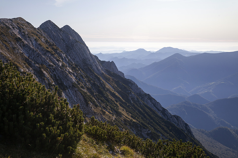 Novi vrh
Novi vrh ali Suha Rodica. Tik pod vrhom Rodice.
Ključne besede: rodica novi vrh suha rodica