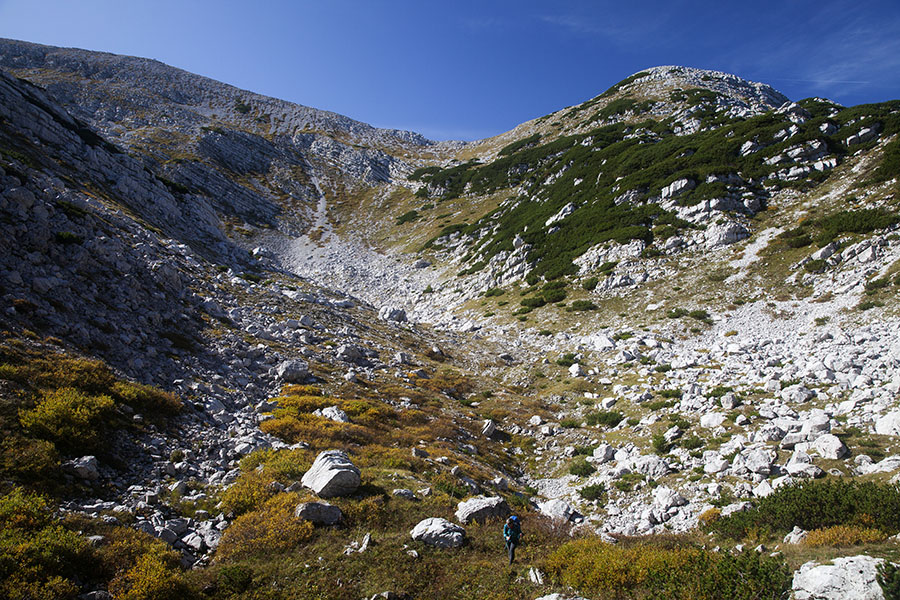 V Dole
Sedlo med Rodico in Malo Rodico, kjer sva se spustila v dolinico in nadaljevala nižje v Dole in Naprej na Glin.
Ključne besede: rodica mala rodica dole