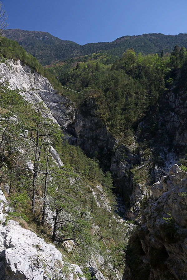 Korita potoka T. Glagno
Vzpon proti vasici Stavoli. Pogled na korita potoka T. Glagno, ki smo ga prečili.
Ključne besede: moggesa di la stavoli