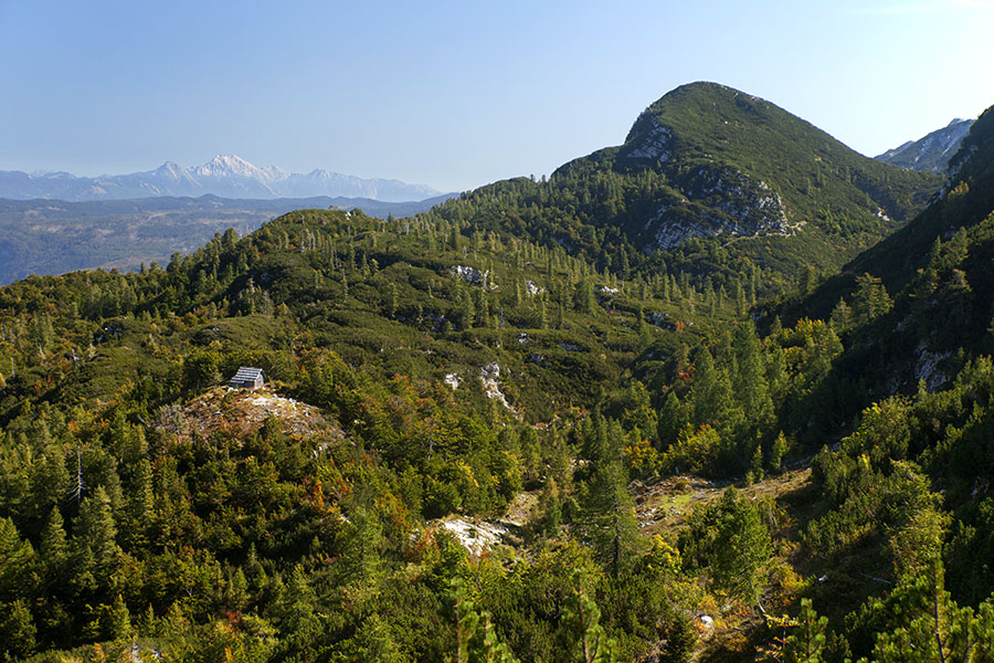 Lovska koča na Glinu
Idilični predel med planino Suho in planino Poljana. Koča na Glinu, zadaj Gradovec. (Bohinjci imenujemo ta predel na Glinu, v zemljevidih je včasih napisano na Glenu).
Ključne besede: rodica glin gradovec