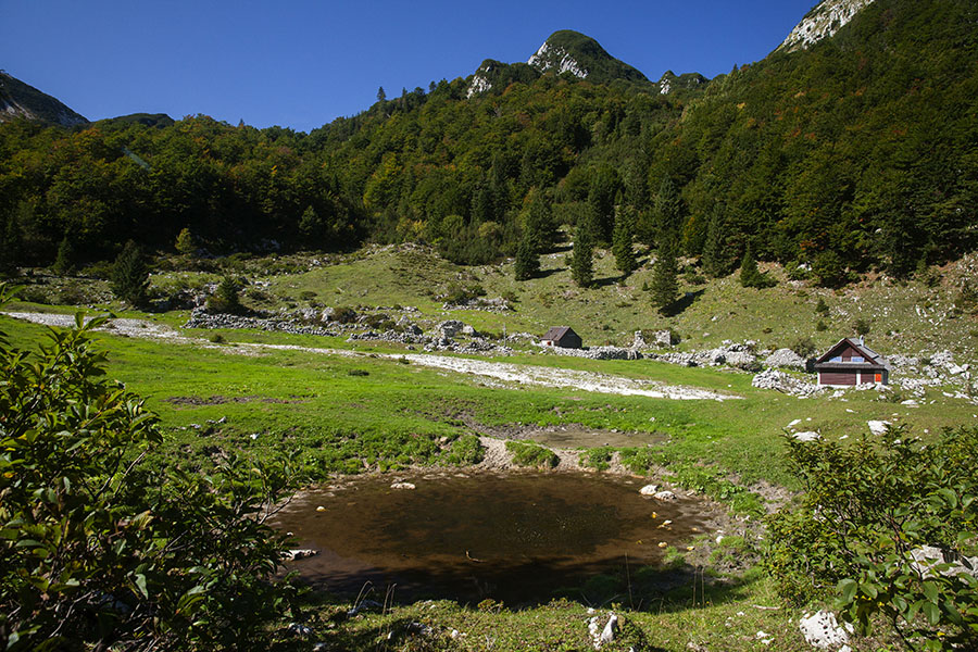 Planina Suha
Na planini Suha.
Ključne besede: planina suha