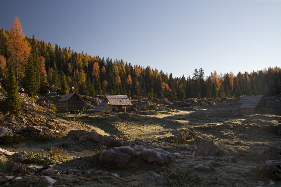 Jutro na Dednem polju
Jutro na Dednem polju.
Ključne besede: dedno polje