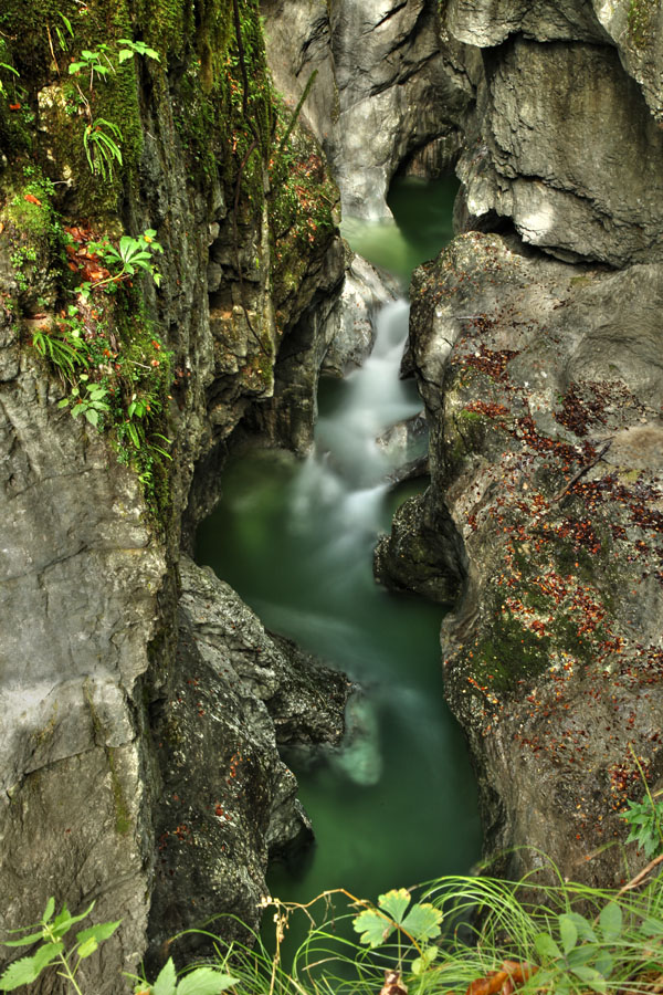 V koritih Mostnice I.
Do 20 m globoka in ponekod le 1 m široka korita Mostnice. 
Ključne besede: korita mostnica mostnice bohinj voje