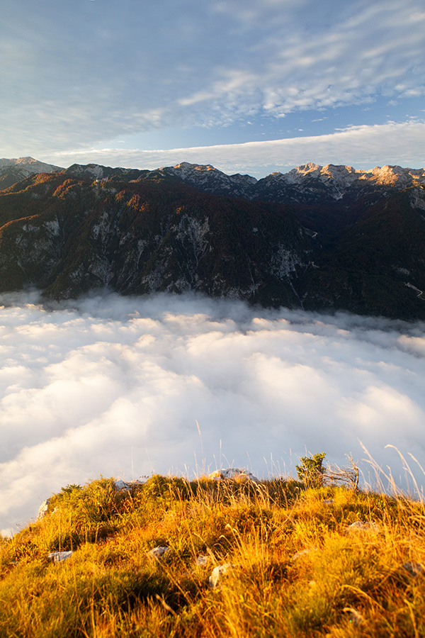 Pod Pršivcem
Z razglednika pod Pršivcem. Megla nad Bohinjskij jezerom. Šija in Vogel.
Ključne besede: pršivec bohinjsko jezero šija vogel
