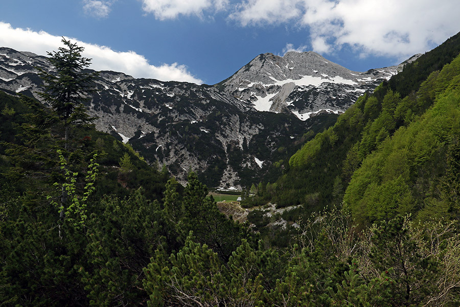 Planina Poljana
Planina poljana
Ključne besede: planina poljana veliki raskovec