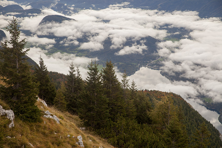 S Pršivca
Nad Bohinjskim jezerom se dvigajo meglice.
Ključne besede: pršivec bohinjsko jezero