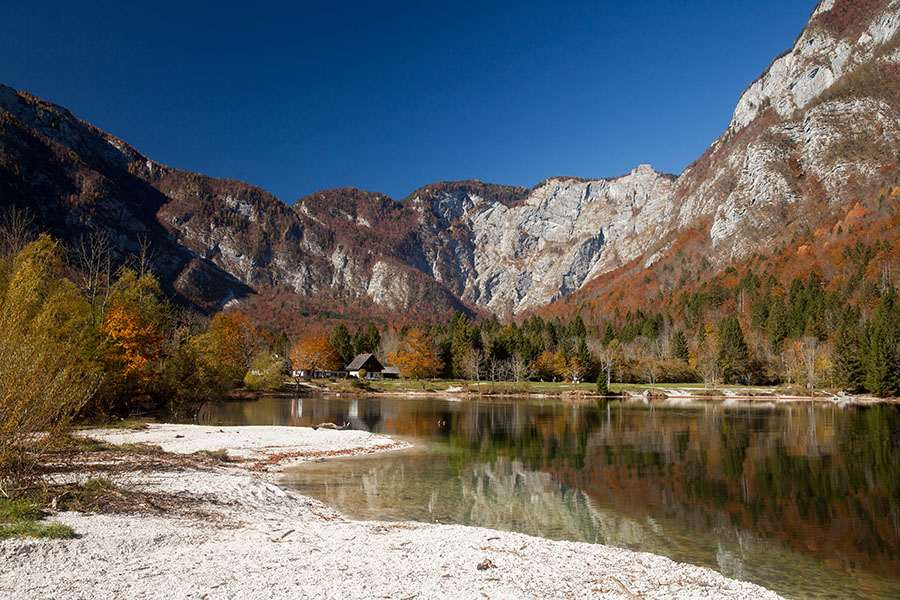 Bohinjsko jezero
Jesen v Ukancu.
Ključne besede: bohinjsko jezero