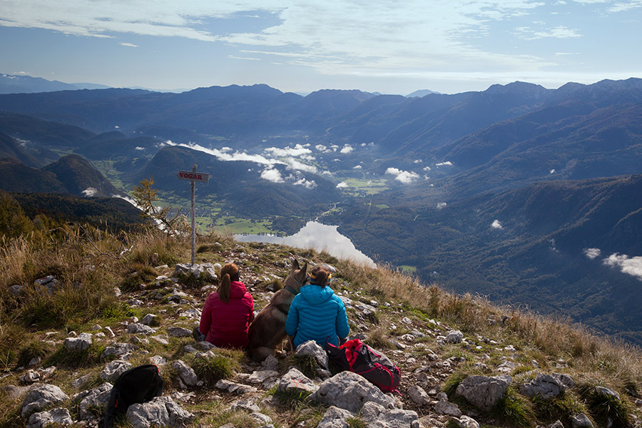 S Pršivca
Uživanje v razgledih na Bohinjsko jezero.
Ključne besede: pršivec bohinjsko jezero