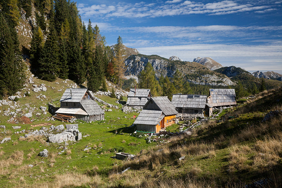 Planina Viševnik
Oranžna fasada, ki na planino prav nič ne paše.
Ključne besede: pršivec planina viševnik