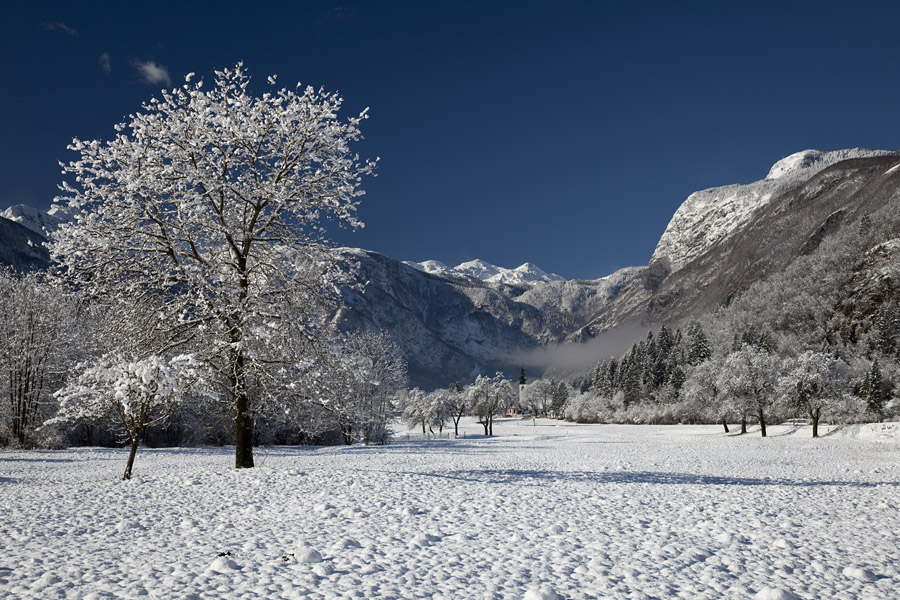 Zima
Zima v Zgornji bohinjski dolini. Med Staro Fužino in Studorom.
Ključne besede: stara fužina studor zgornja bohinjska dolina