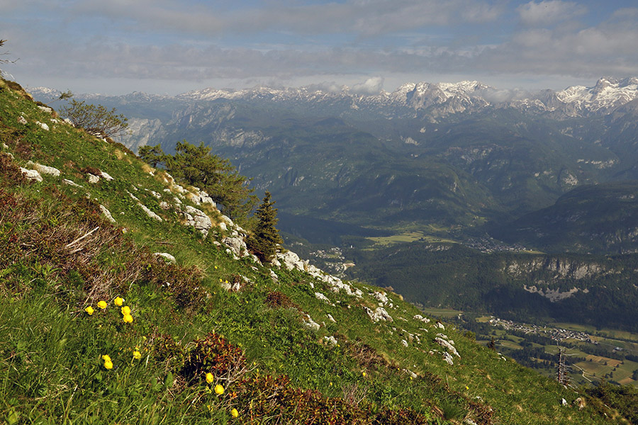S Črne gore
Pogled na Bohinj z vrha Črne gore.
Ključne besede: črna gora