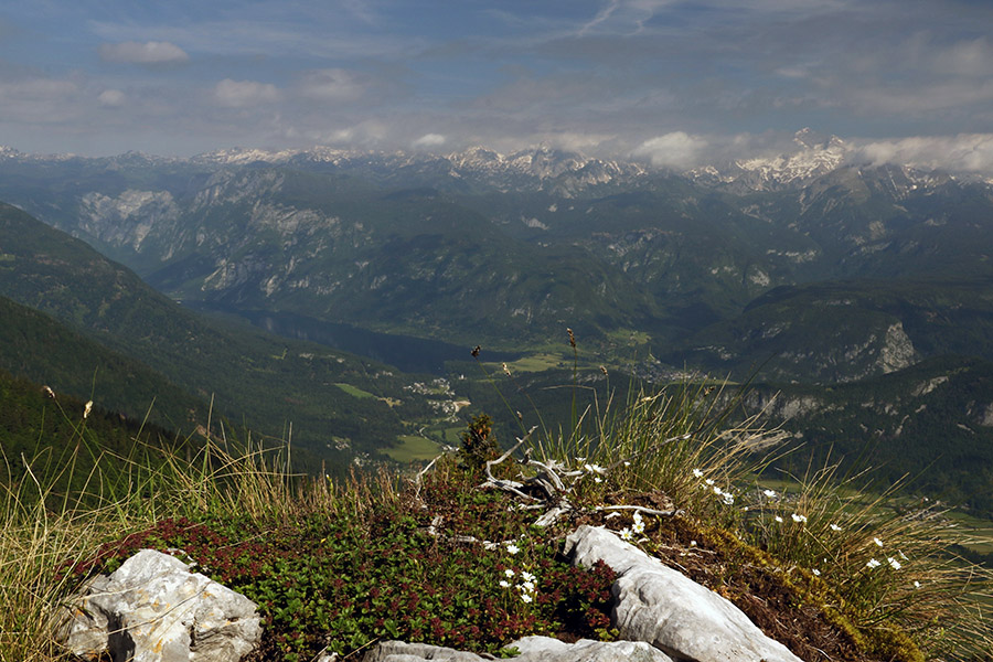 S Črne gore
Pogled na Bohinj z vrha Črne gore.
Ključne besede: črna gora bohinj jezero