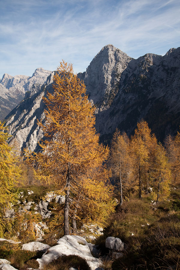 Za Razorcem V.
Za Razorcem. Trentski Pelc.
Ključne besede: za razorcem trentski pelc