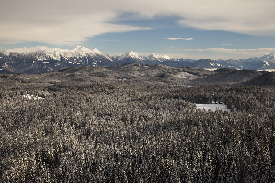 Z Javorovega vrha III.
Čez Pokljuške gozdove proti Karavankam.
Ključne besede: javorov vrh pokljuka planina zgornje jelje