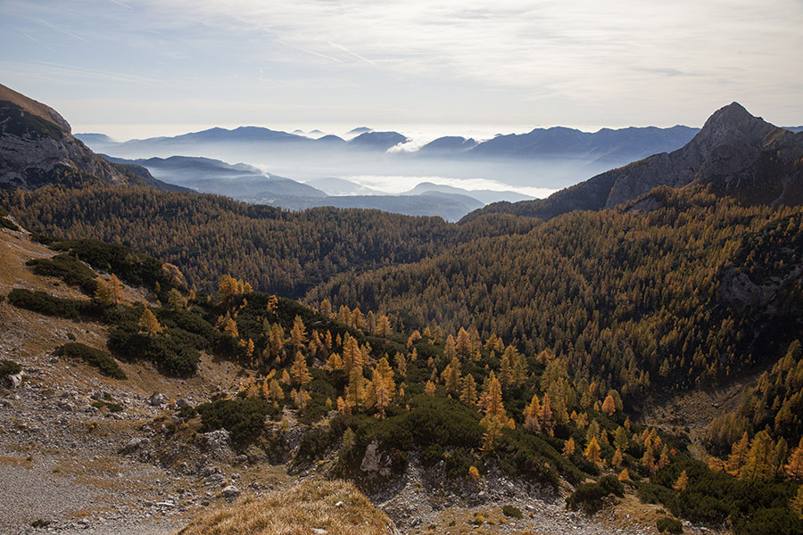 S poti na Koštrunovec
Utrinek s poti na Koštrunovec.
Ključne besede: koštrunovec