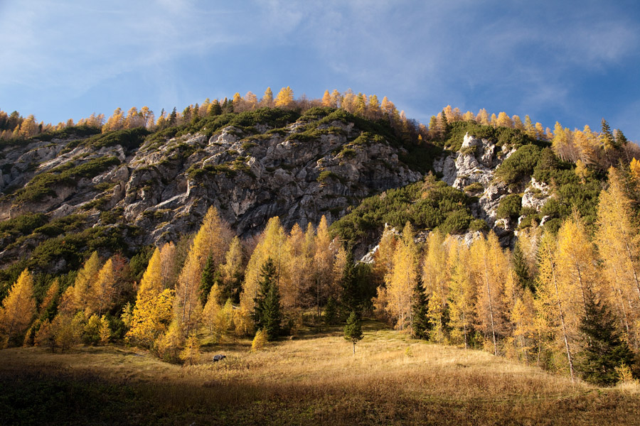 Planina Zapotok
Na planini Zapotok je sonce sijalo le še na višje ležeče macesne.
Ključne besede: planina zapotok