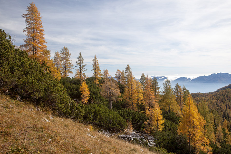 S spusta s Koštrunovca
S spusta s Koštrunovca
Ključne besede: koštrunovec planina pod mišelj vrhom