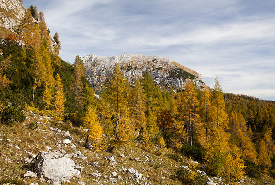 Na planini pod Mišelj vrhom
S spusta s Koštrunovca proti planini pod Mišelj vrhom.
Ključne besede: koštrunovec planina pod mišelj vrhom tosc