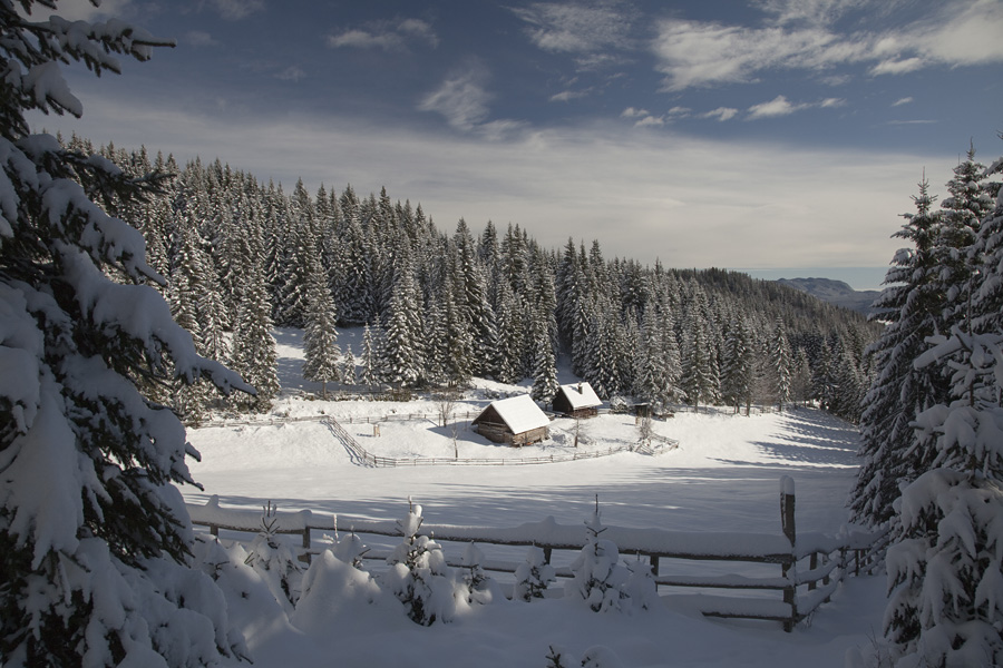 Spodnje Jelje
Spodnje Jelje.
Ključne besede: spodnje jelje