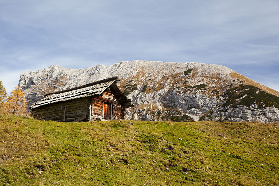 Na planini pod Mišelj vrhom
Stan na planini pod Mišelj vrhom.
Ključne besede: planina pod mišelj vrhom