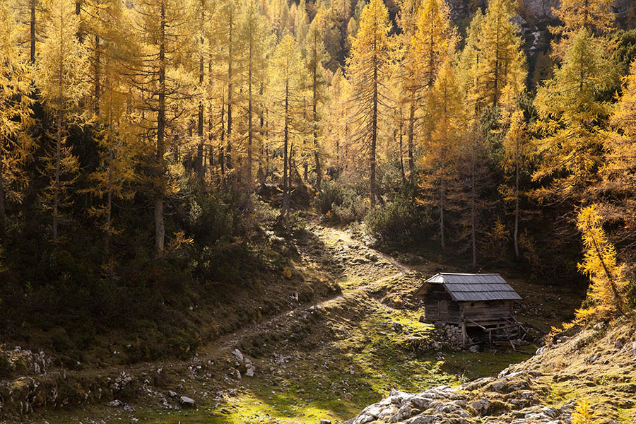 Na planini pod Mišelj vrhom
Na planini pod Mišelj vrhom.
Ključne besede: planina pod mišelj vrhom