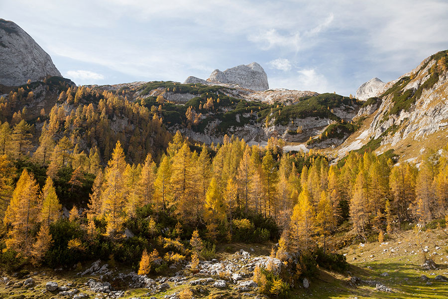 Na planini pod Mišelj vrhom
Na planini pod Mišelj vrhom.
Ključne besede: planina pod mišelj vrhom