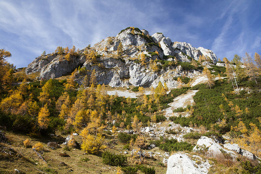 Na planini pod Mišelj vrhom
Utrinek s planine pod Mišelj vrhom.
Ključne besede: planina pod mišelj vrhom