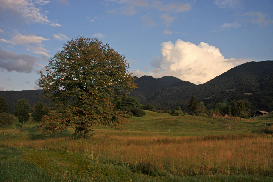 Prve barve jeseni
Prve barve jeseni na Dobravi ob Bohinjski Bistrici. 
Ključne besede: dobrava bohinjska bistrica bohinj