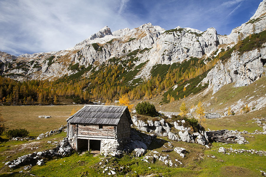 Na Velem polju
Na Velem polju
Ključne besede: planina velo polje