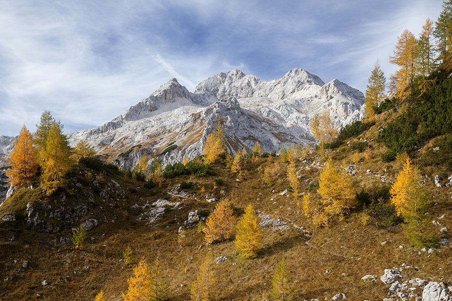 Jesenski Trigalv
Triglav z zlatimi macesni. V bližini Vodnikovega doma na Velem polju.
Ključne besede: triglav vodnikov dom na velem polju