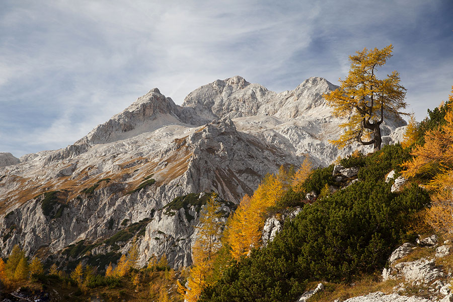 Jesenski Triglav
V bližini Vodnikovega doma na Velem polju.
Ključne besede: triglav vodnikov dom na velem polju