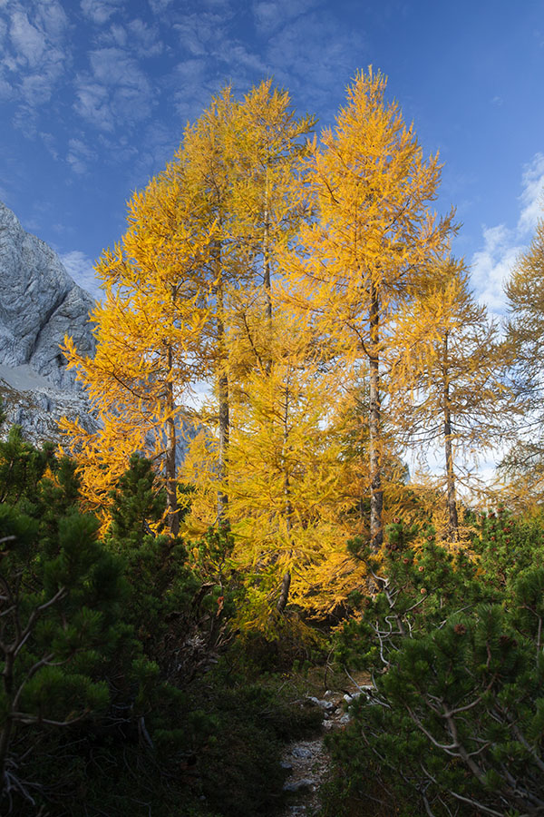 V Velski dolini
S poti proti sedlu Čez Hribarice.
Ključne besede: velska dolina čez hribarice
