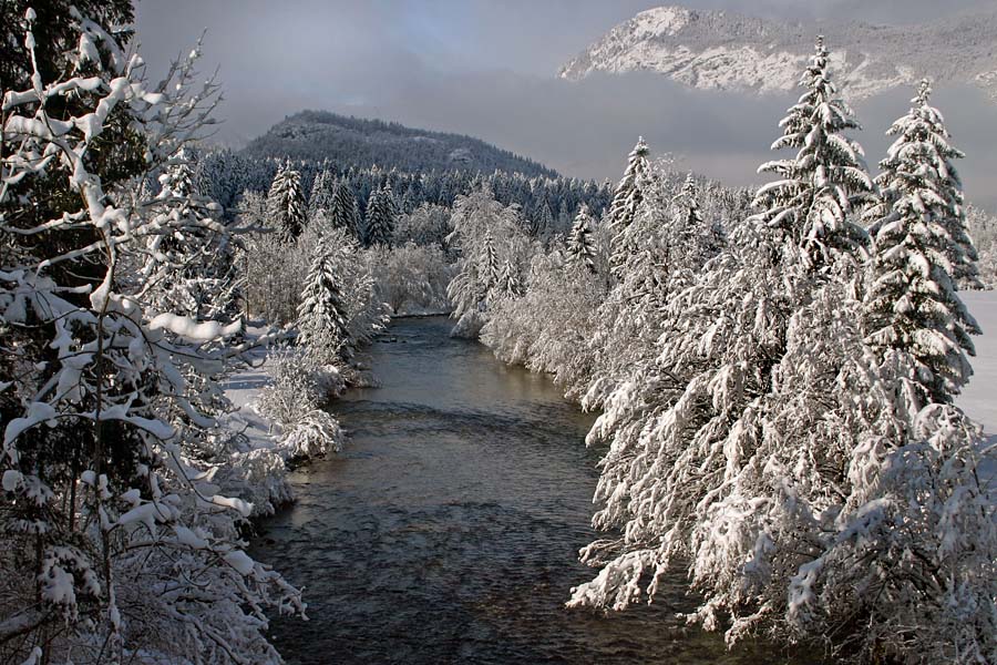 Sava Bohinjka
Sava ob vasi Laški rovt.
Ključne besede: sava bohinjka laški rovt