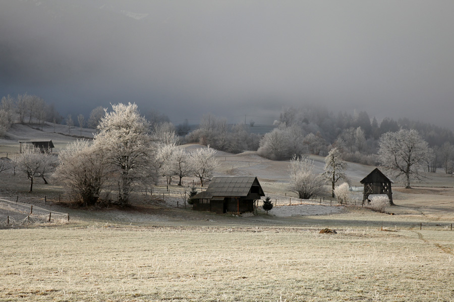 Na Dobravi II.
Jutranje megle z ivjem na Dobravi.
Ključne besede: bohinj dobrava bohinjska bistrica