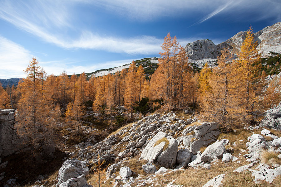 V dolini Triglavskih jezer
V dolini Triglavskih jezer. 
Ključne besede: dolina triglavskih jezer