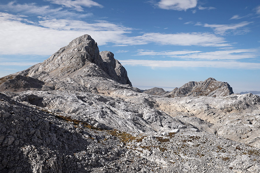 Vršaki
Vršaki s sedla Čez Hribarice
Ključne besede: vršaki čez hribarice