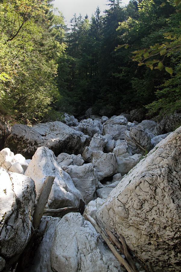 Struga Savice VI.
Pogled nazaj. Še vedno povsem suha struga Savice.
Ključne besede: struga korito savica