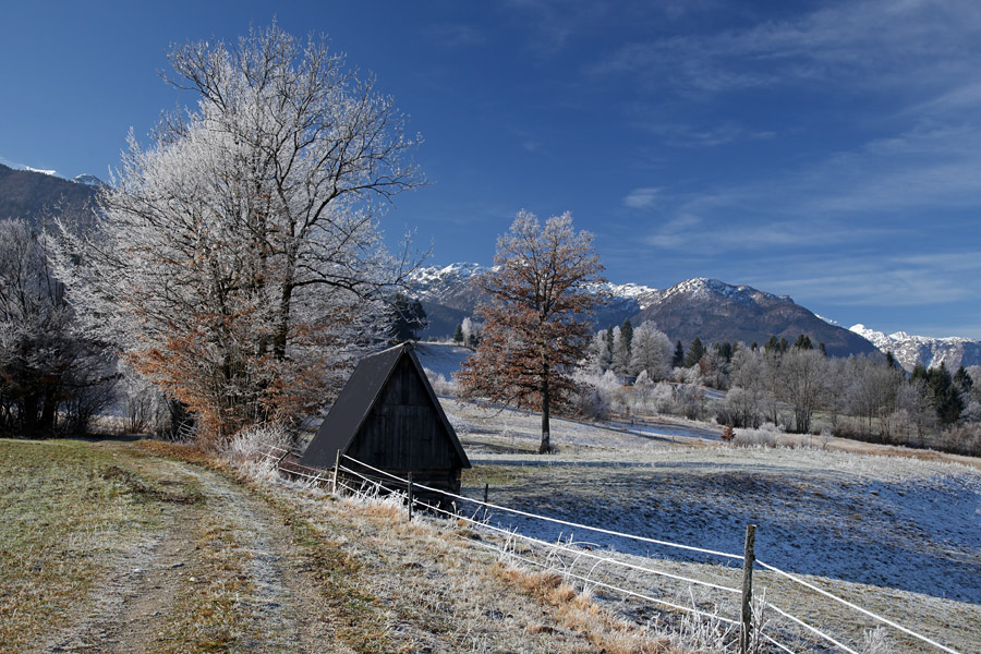 Na Dobravi V.
Utrinek z Dobrave.
Ključne besede: bohinj dobrava bohinjska bistrica