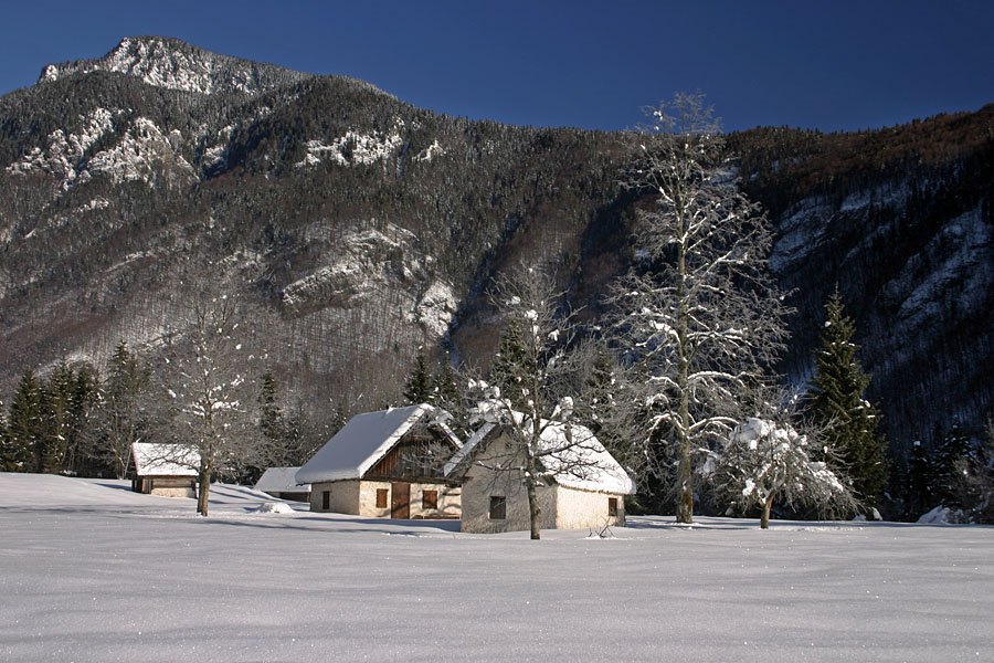 Voje
Planina Voje pozimi.
Ključne besede: planina voje zima bohinj