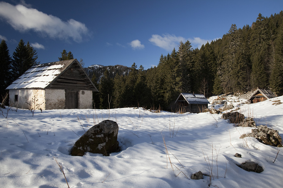Planina Vodični vrh II.
Sirarna na planini Vodični vrh.
Ključne besede: planina vodični vrh