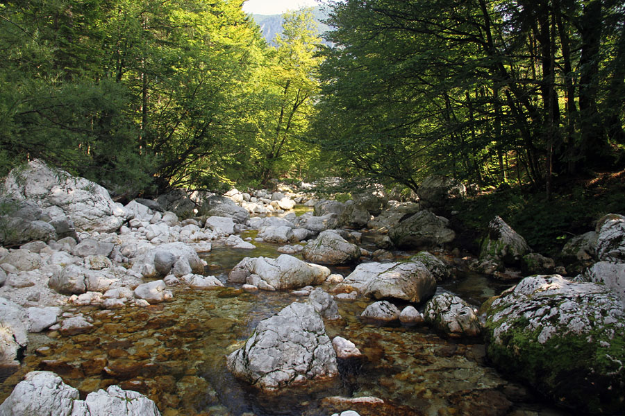 Struga Savice X.
Vode je vse več, vendar se jo da prebrosti. Je pa svet vse bolj spolzek in nevaren za hojo.
Ključne besede: struga korito savica
