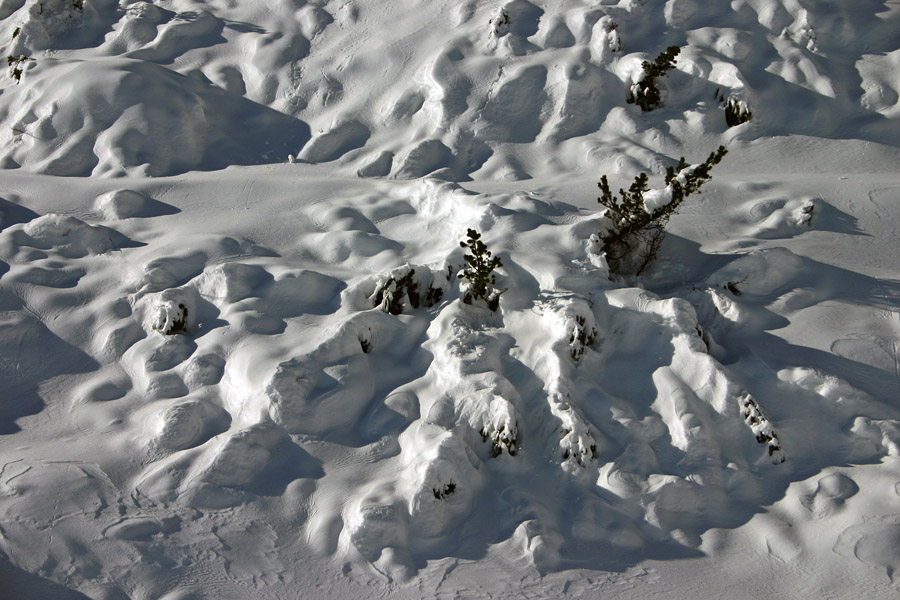 Pod snegom
Kljub ne ravno visoki snežni odeji je sneg poskrbel za čudovite oblike. Planina Na Kraju.
Ključne besede: planina na kraju komna