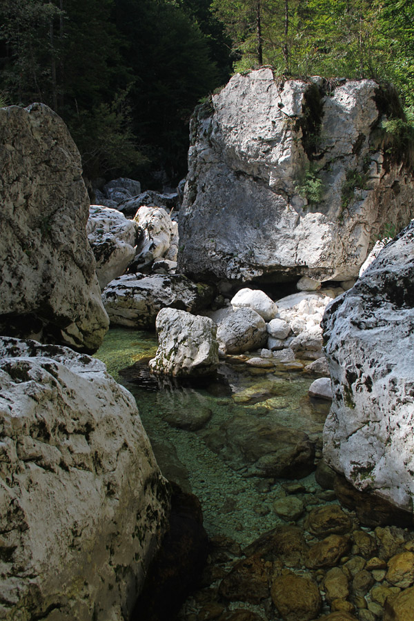 Struga Savice XI.
Vse več je lepih tolmunov ...
Ključne besede: struga korito savica
